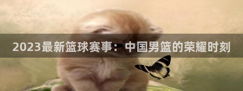 2023最新篮球赛事：中国男篮的荣耀时刻