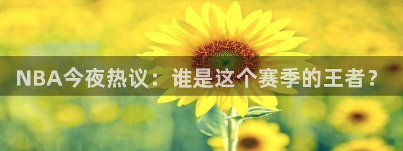 NBA今夜热议：谁是这个赛季的王者？