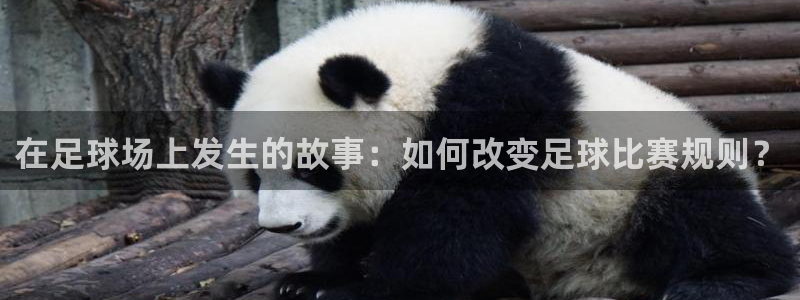 在足球场上发生的故事：如何改变足球比赛规则？