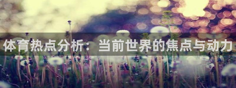 体育热点分析：当前世界的焦点与动力