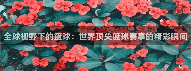 全球视野下的篮球：世界顶尖篮球赛事的精彩瞬间