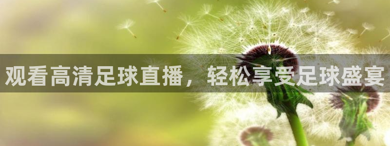 观看高清足球直播，轻松享受足球盛宴