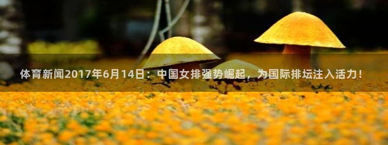体育新闻2017年6月14日：中国女排强势崛起，为国际排坛注入活力！