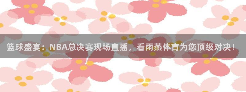 篮球盛宴：NBA总决赛现场直播，看雨燕体育为您顶级对决！