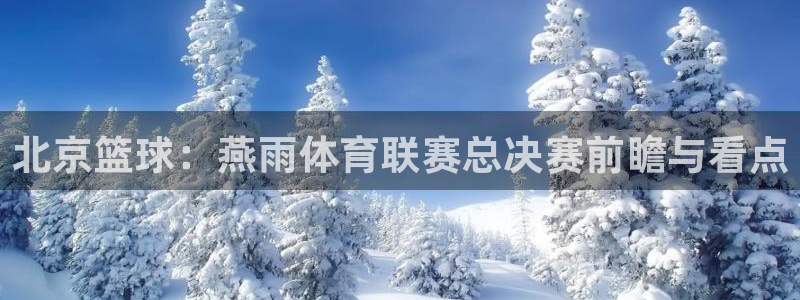 北京篮球：燕雨体育联赛总决赛前瞻与看点