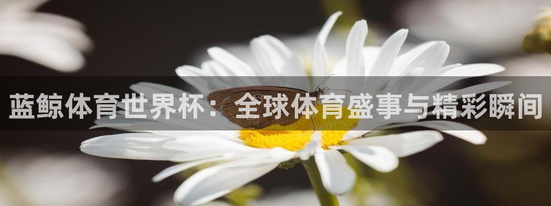 蓝鲸体育世界杯：全球体育盛事与精彩瞬间
