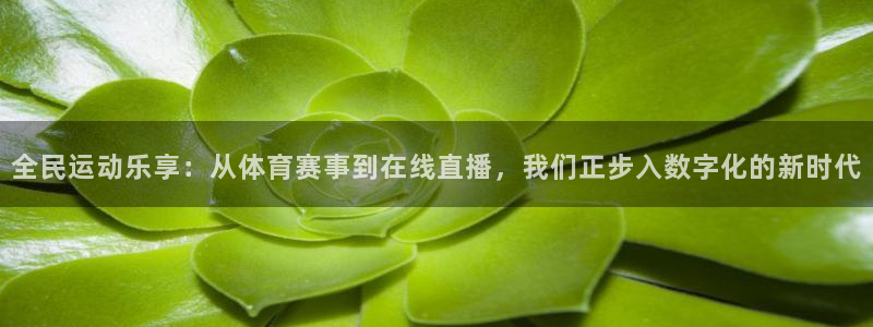 全民运动乐享：从体育赛事到在线直播，我们正步入数字化的新时代