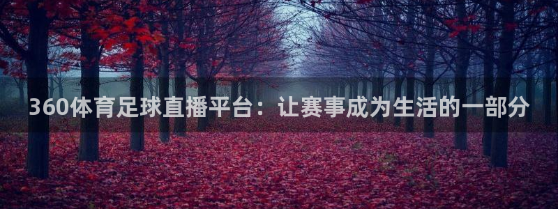 360体育足球直播平台：让赛事成为生活的一部分