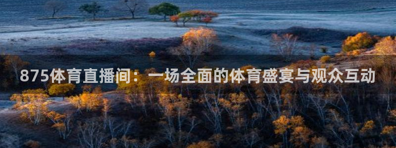 875体育直播间：一场全面的体育盛宴与观众互动