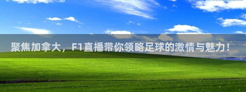 聚焦加拿大，F1直播带你领略足球的激情与魅力！