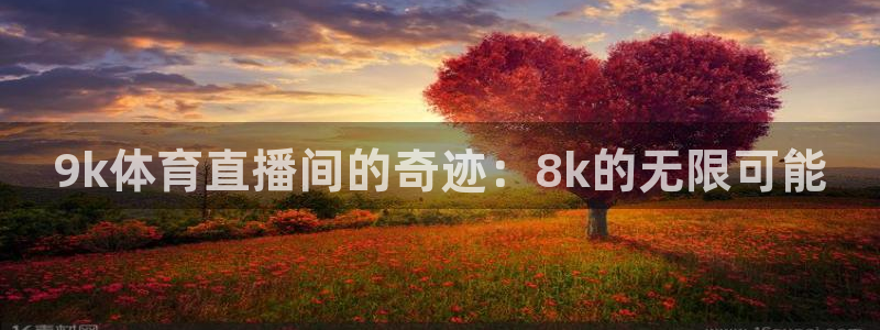 9k体育直播间的奇迹：8k的无限可能