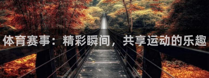 体育赛事：精彩瞬间，共享运动的乐趣