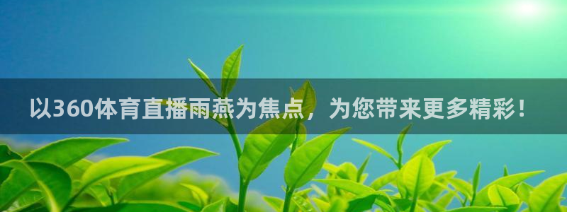 以360体育直播雨燕为焦点，为您带来更多精彩！