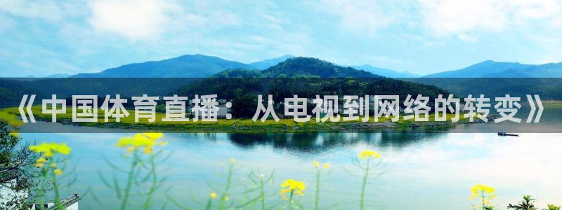 《中国体育直播：从电视到网络的转变》