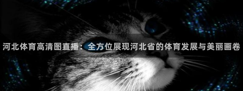 河北体育高清图直播：全方位展现河北省的体育发展与美丽画卷
