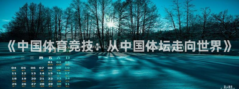 《中国体育竞技：从中国体坛走向世界》