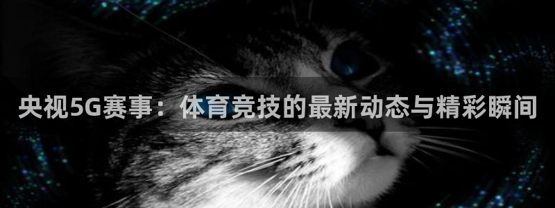 央视5G赛事：体育竞技的最新动态与精彩瞬间