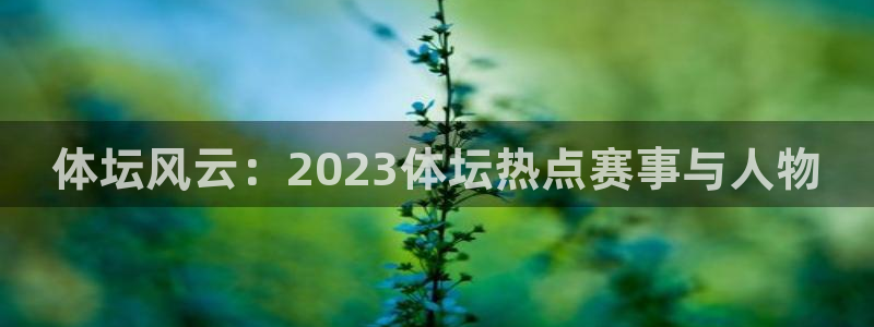 体坛风云：2023体坛热点赛事与人物