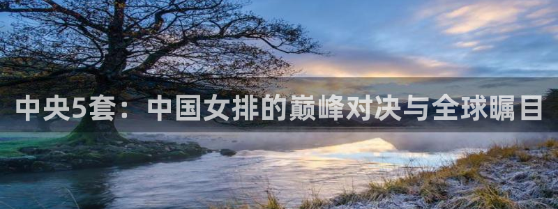中央5套：中国女排的巅峰对决与全球瞩目
