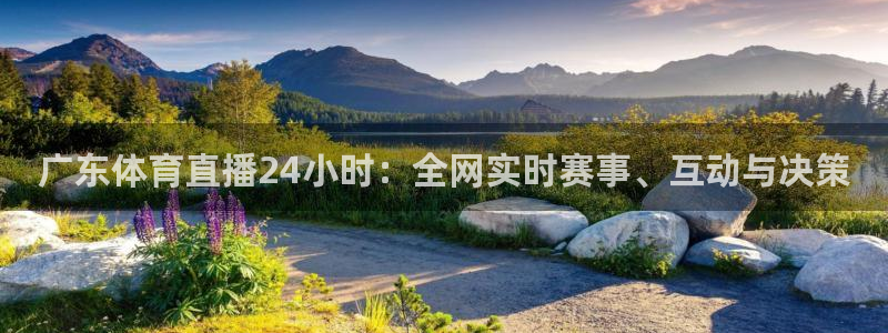 广东体育直播24小时：全网实时赛事、互动与决策