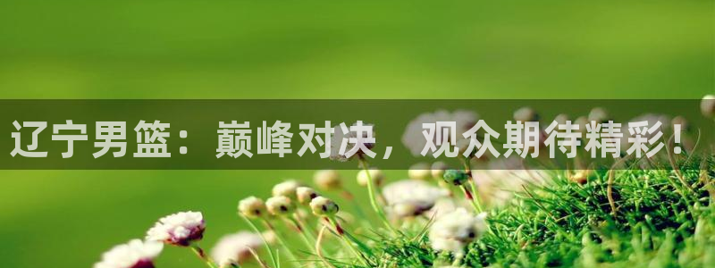 辽宁男篮：巅峰对决，观众期待精彩！