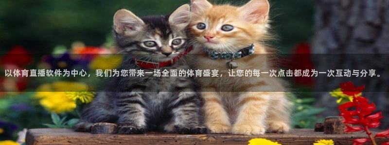以体育直播软件为中心，我们为您带来一场全面的体育盛宴，让您的每一次点击都成为一次互动与分享。