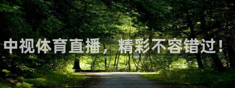中视体育直播，精彩不容错过！