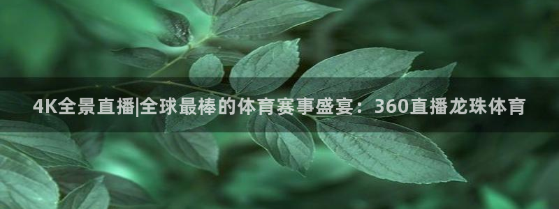 4K全景直播|全球最棒的体育赛事盛宴：360直播龙珠体育