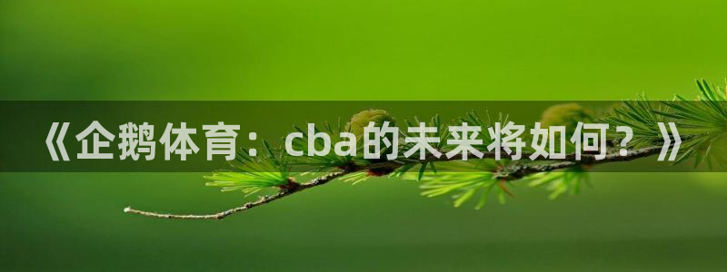 《企鹅体育：cba的未来将如何？》