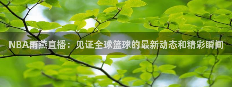 NBA雨燕直播：见证全球篮球的最新动态和精彩瞬间