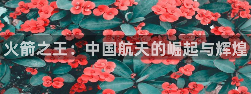 火箭之王：中国航天的崛起与辉煌
