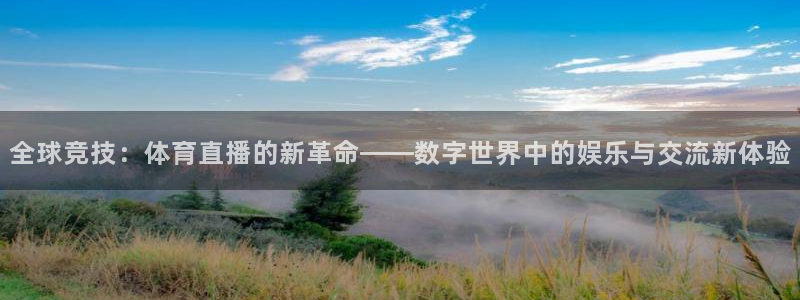全球竞技：体育直播的新革命——数字世界中的娱乐与交流新体验