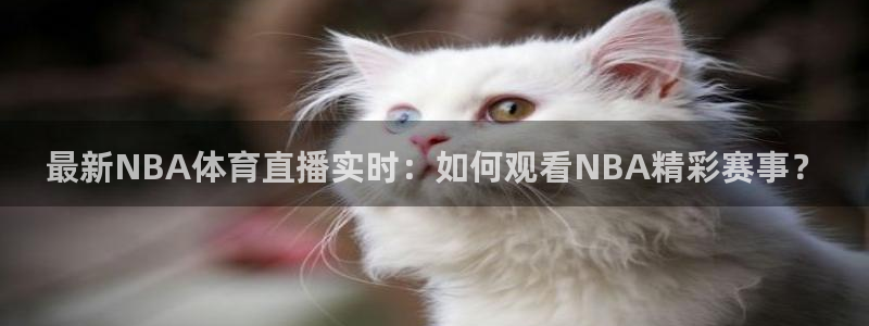 最新NBA体育直播实时：如何观看NBA精彩赛事？