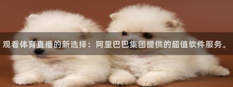 观看体育直播的新选择：阿里巴巴集团提供的超值软件服务。
