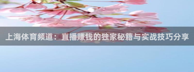 上海体育频道：直播赚钱的独家秘籍与实战技巧分享