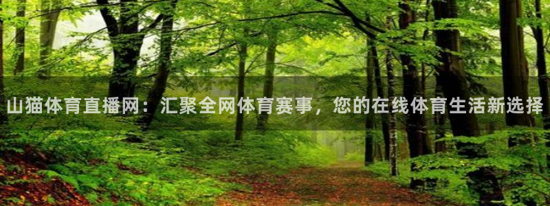 山猫体育直播网：汇聚全网体育赛事，您的在线体育生活新选择