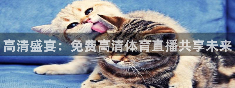 高清盛宴：免费高清体育直播共享未来