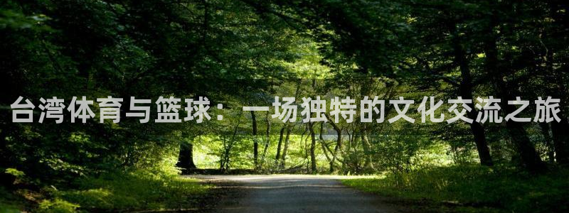 台湾体育与篮球：一场独特的文化交流之旅