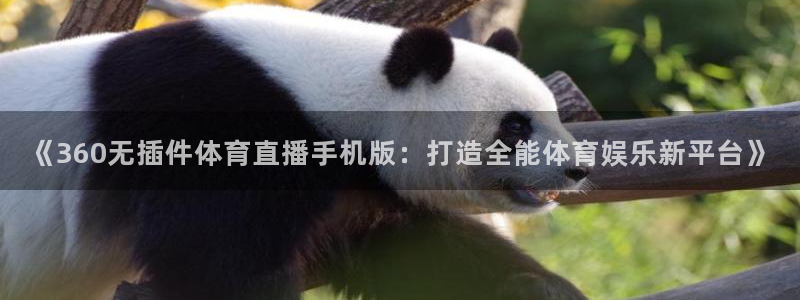 《360无插件体育直播手机版：打造全能体育娱乐新平台》