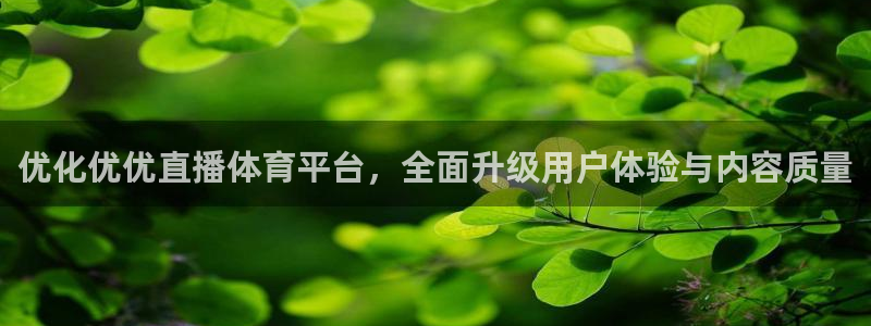 优化优优直播体育平台，全面升级用户体验与内容质量