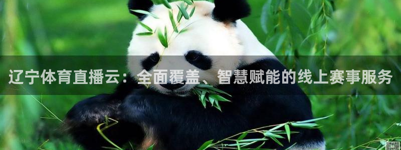 辽宁体育直播云：全面覆盖、智慧赋能的线上赛事服务