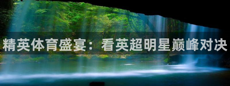 精英体育盛宴：看英超明星巅峰对决
