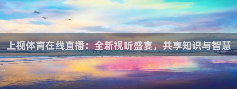 上视体育在线直播：全新视听盛宴，共享知识与智慧