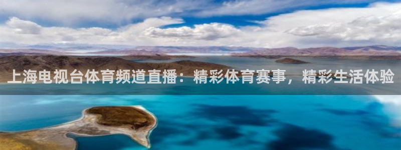 上海电视台体育频道直播：精彩体育赛事，精彩生活体验