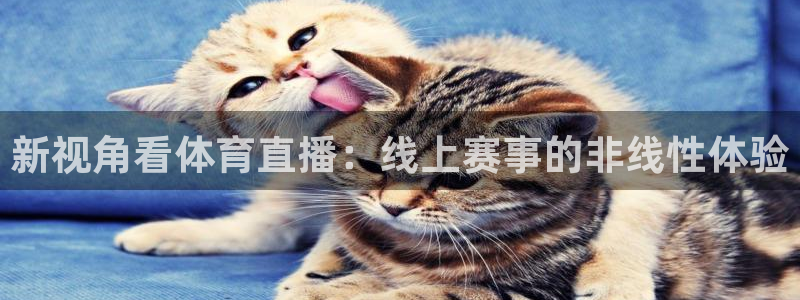 新视角看体育直播：线上赛事的非线性体验