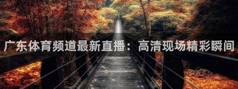 广东体育频道最新直播：高清现场精彩瞬间