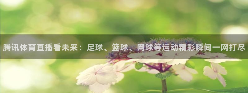 腾讯体育直播看未来：足球、篮球、网球等运动精彩瞬间一网打尽