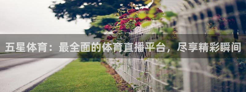 五星体育：最全面的体育直播平台，尽享精彩瞬间