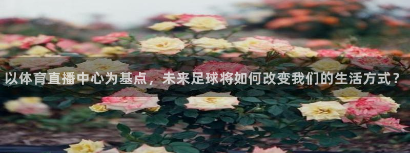 以体育直播中心为基点，未来足球将如何改变我们的生活方式？