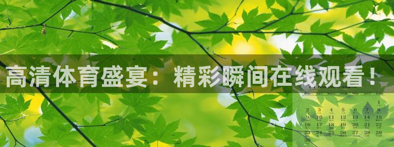 高清体育盛宴：精彩瞬间在线观看！